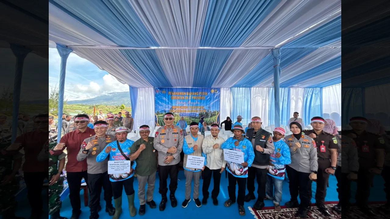 Dari Lereng Danau Kembar, Asa Baru Bawang Putih Solok Menuju Swasembada Nasional